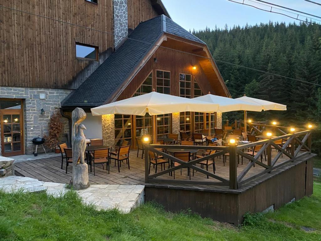 Horsky Hotel Vidly Karlova Studánka Exteriör bild