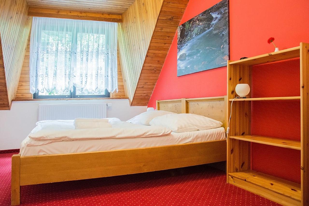 Horsky Hotel Vidly Karlova Studánka Exteriör bild