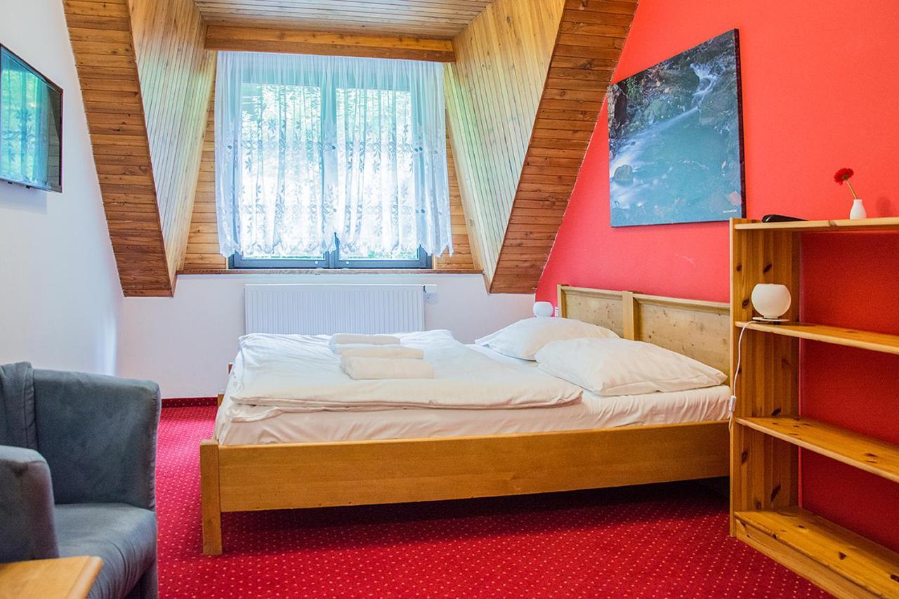 Horsky Hotel Vidly Karlova Studánka Exteriör bild